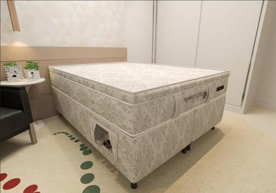 Box Pet New Millenium